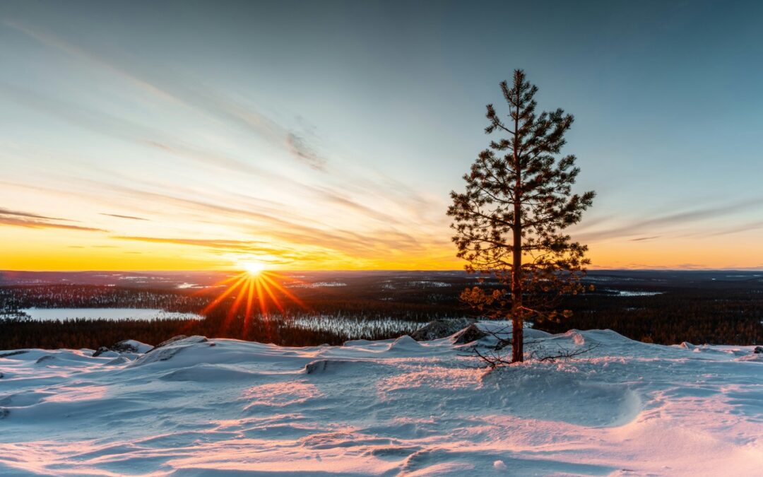 Rêver en conscience – Janvier 2026