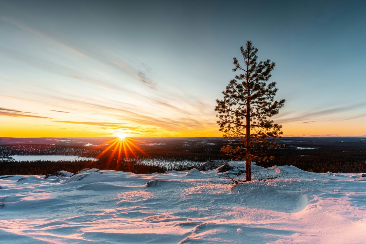 Newsletter Février 2024